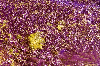 AP 145A1